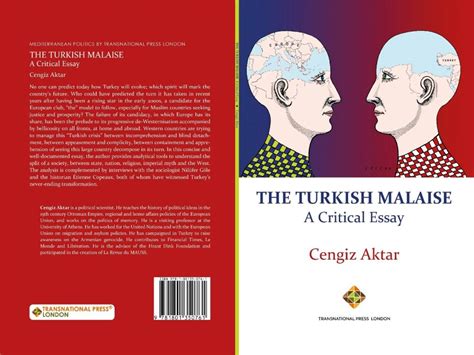 The Malaise of Turkish Democracy 